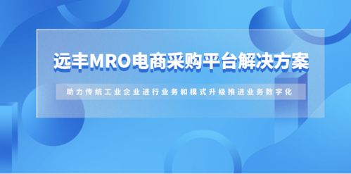 远丰案例丨为其搭建b2b商城,推进业务数字化